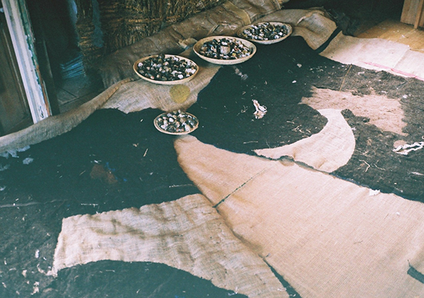 Natural materials spread out on the floor