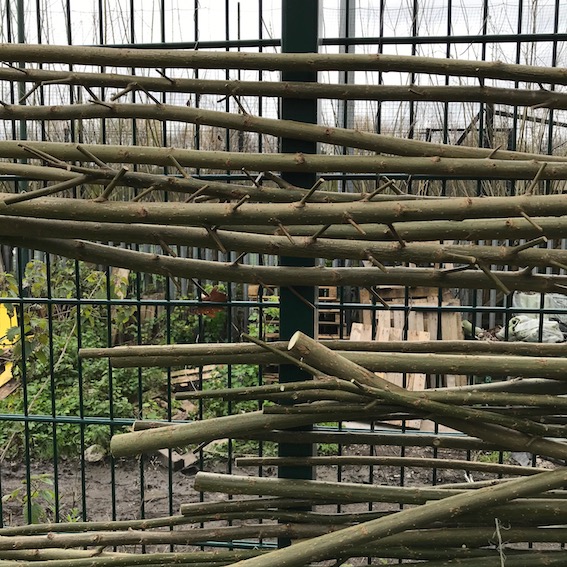 sticks attached to a wire fence