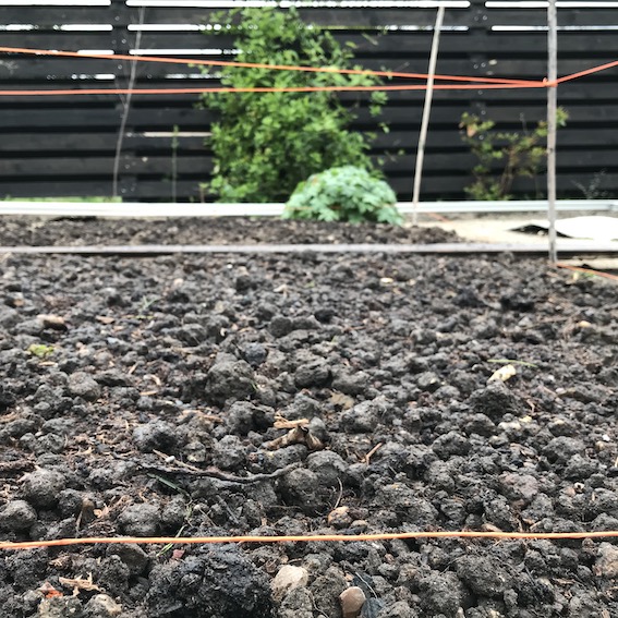 Bare soil in a garden