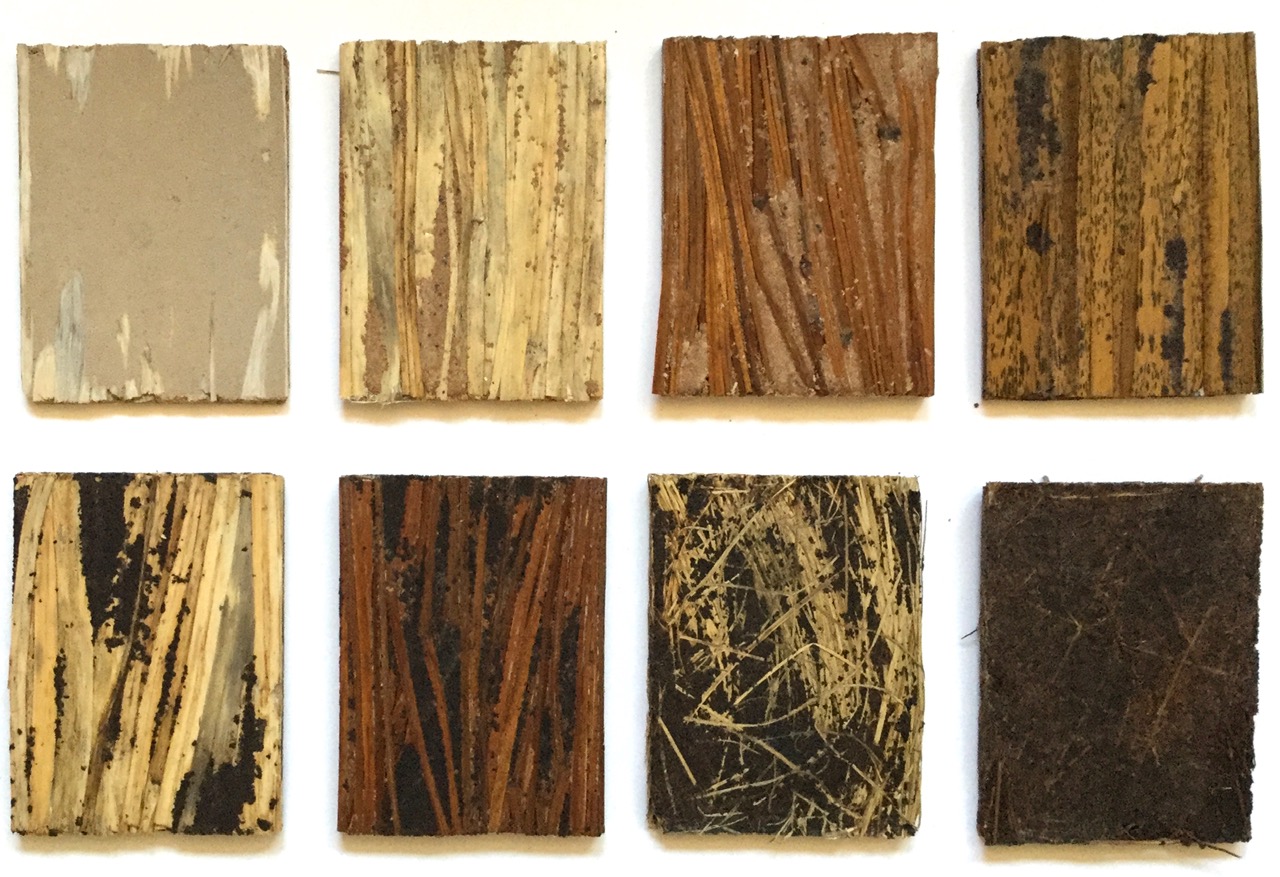 samples made from natural materials