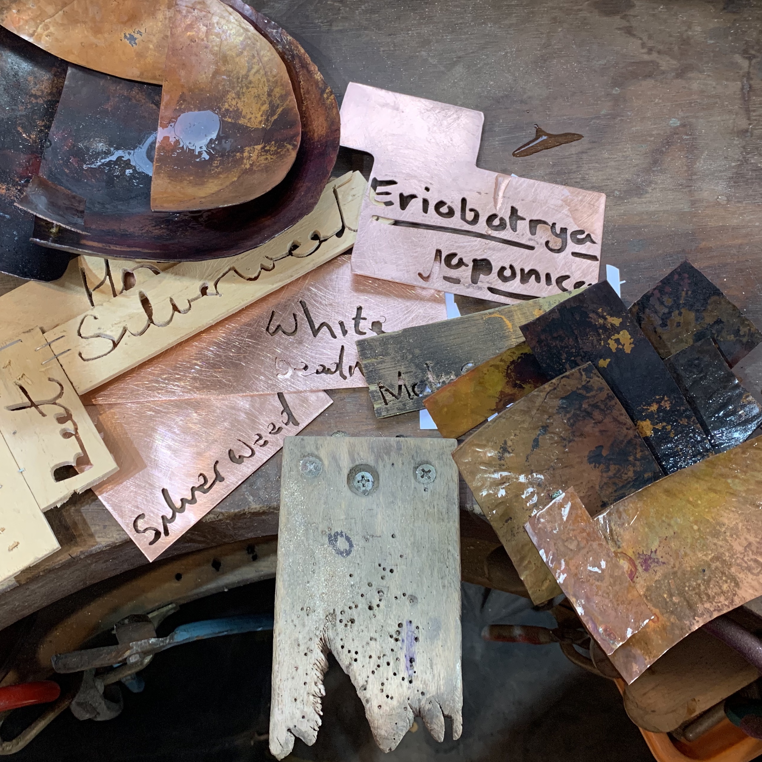 pieces of metal and wood with plant names cut out, on a workbench