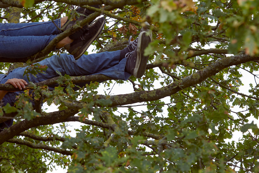 legs of two people lying along branches of a tree