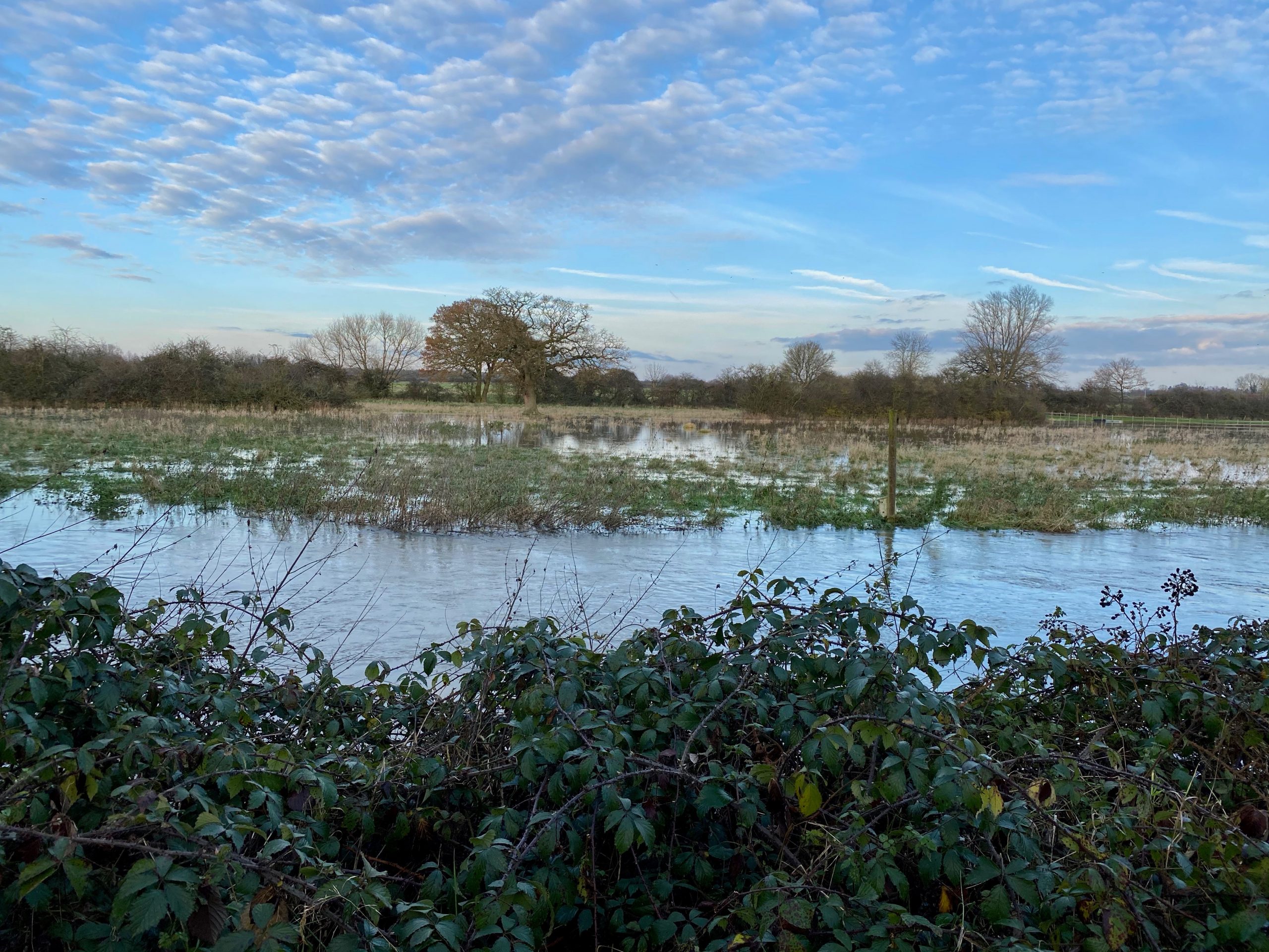 rural landscape with water and greenery visible