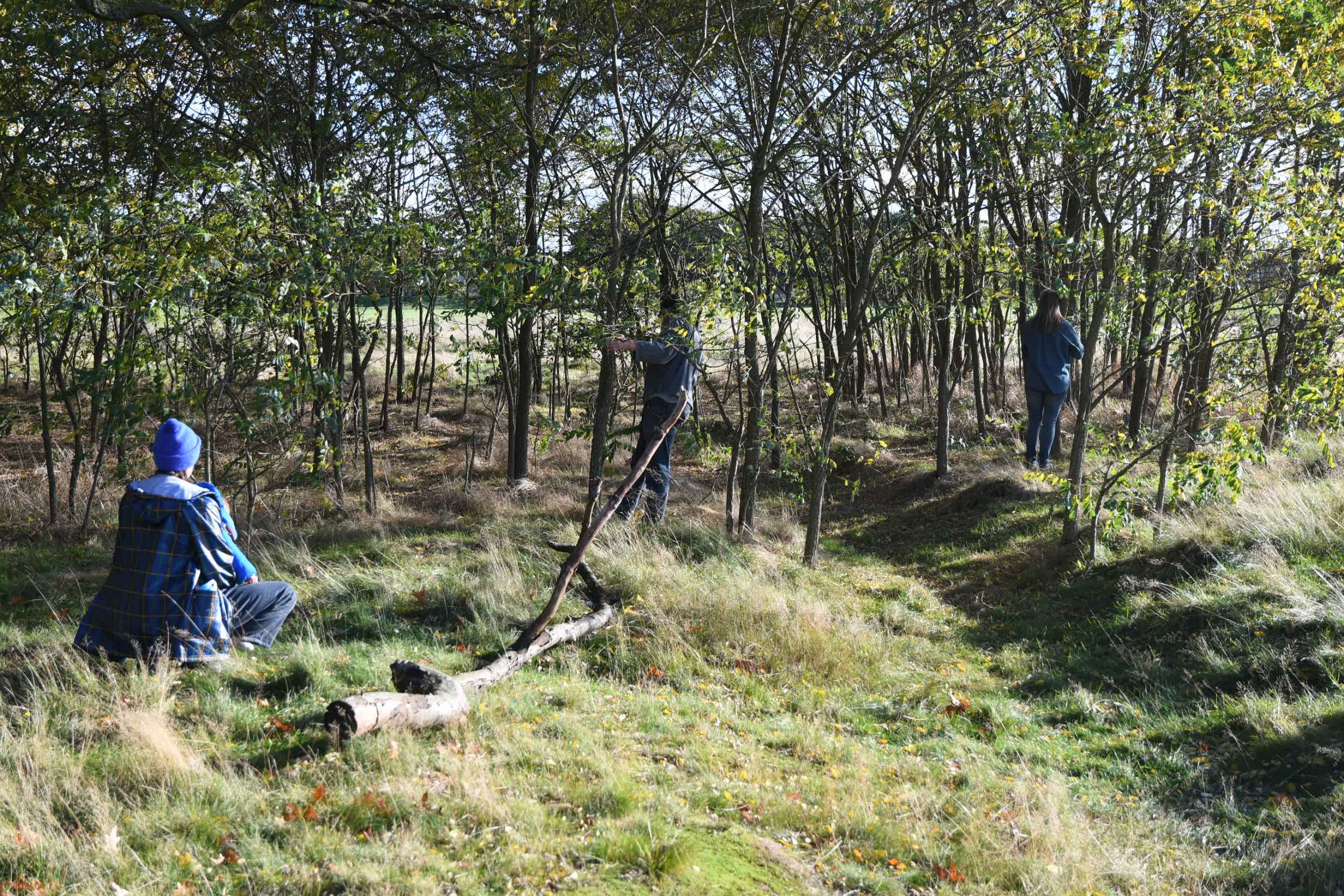 People sitting and standing in a wooded area.