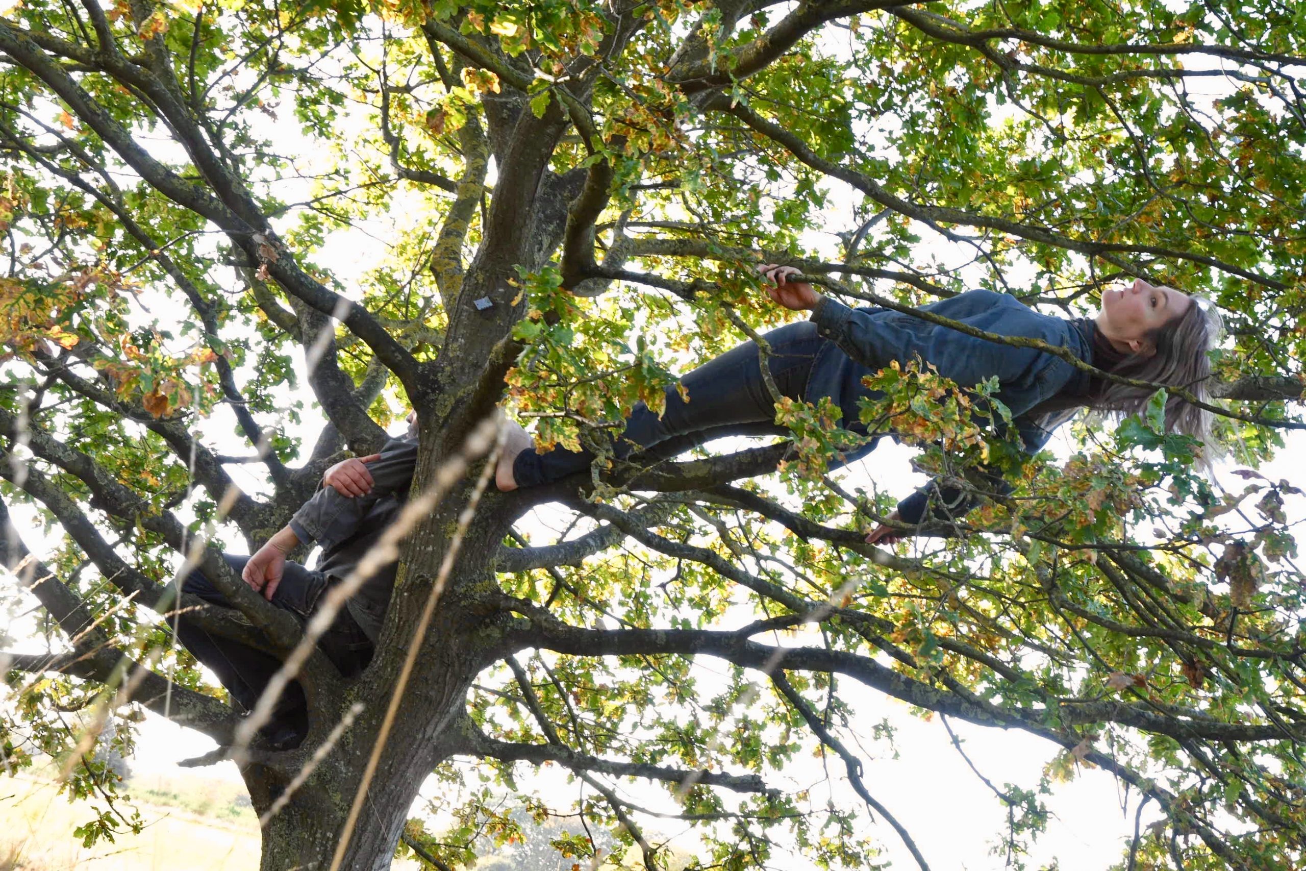 Two people in a tree