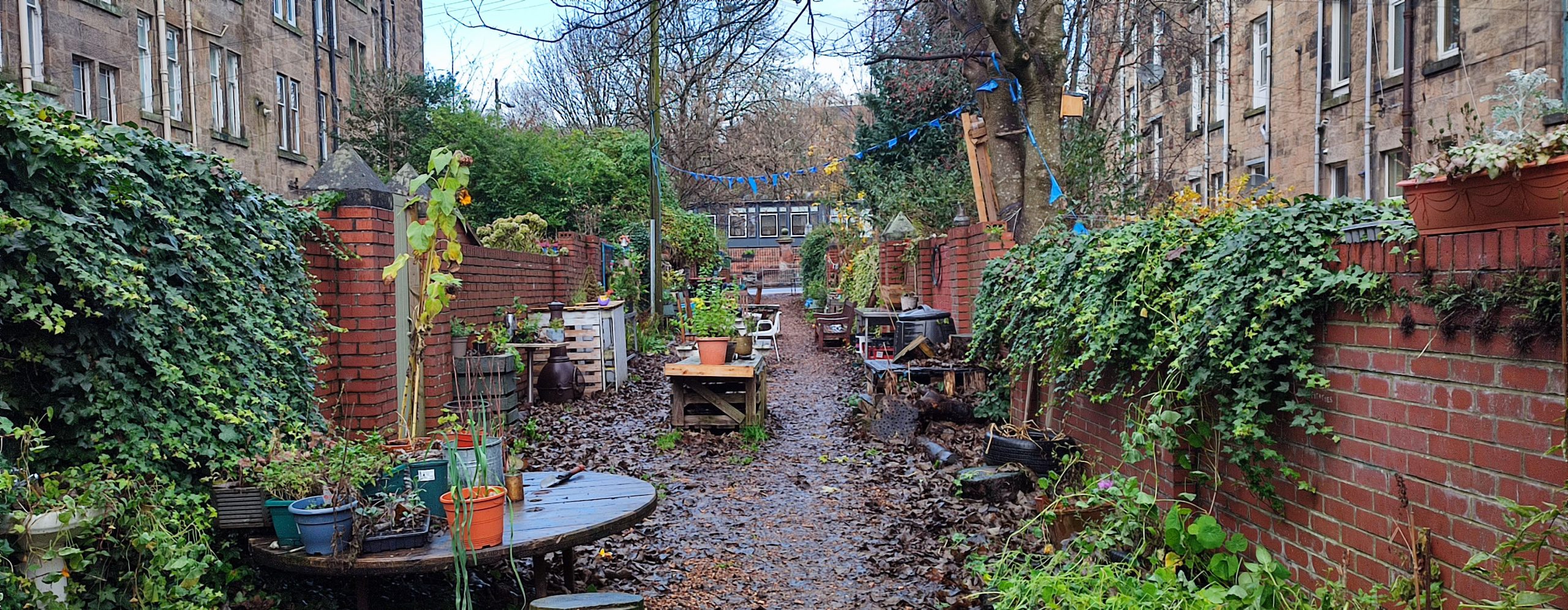 lane between tenement blocks with tables, chairs and plants